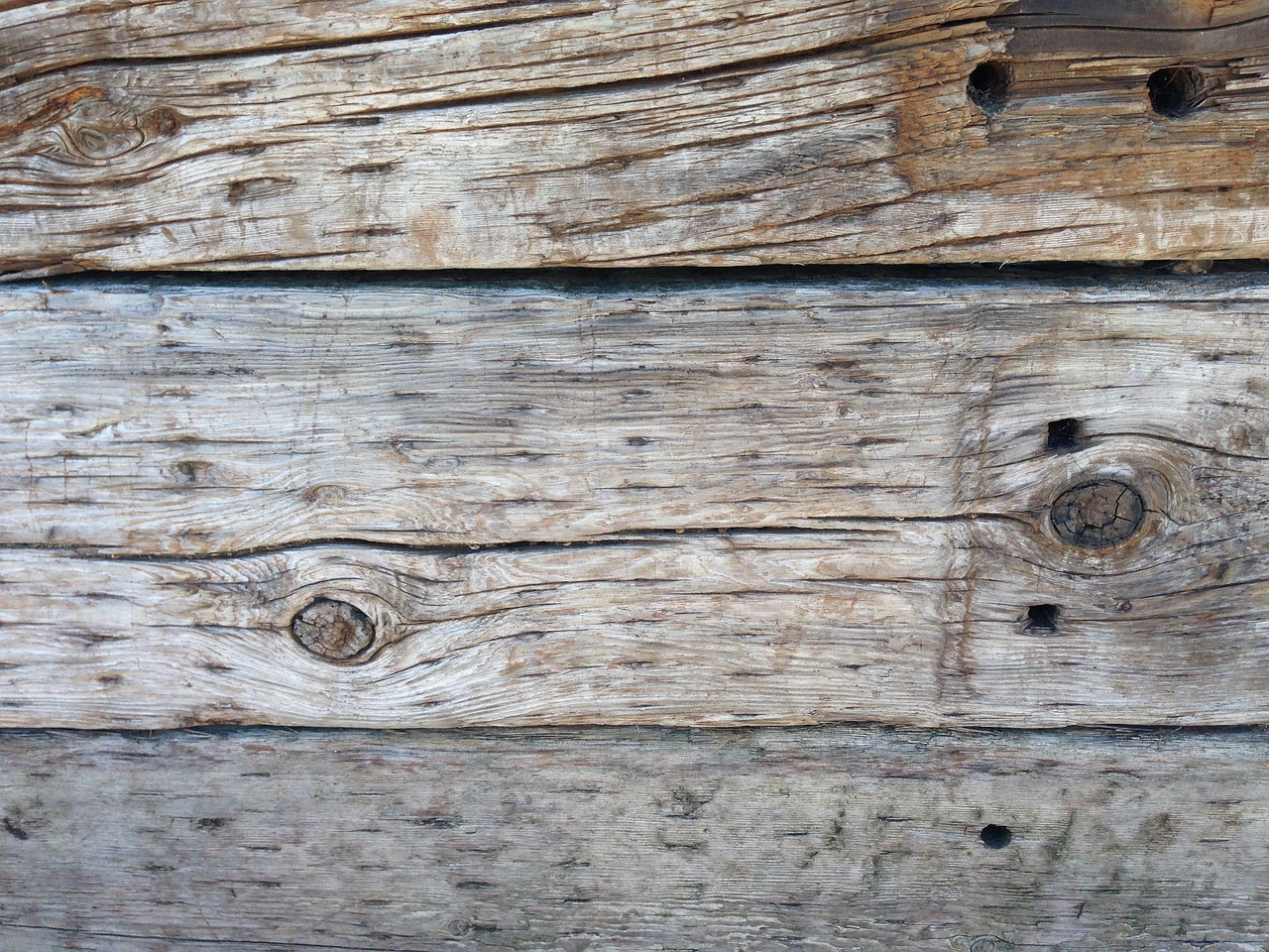 wood grain texture free photo