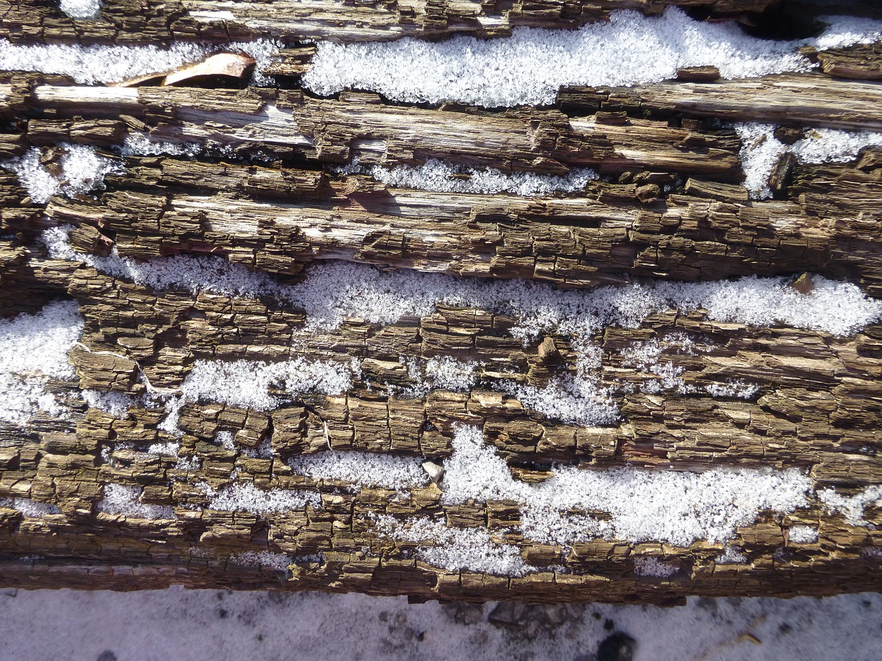 wood texture oak free photo