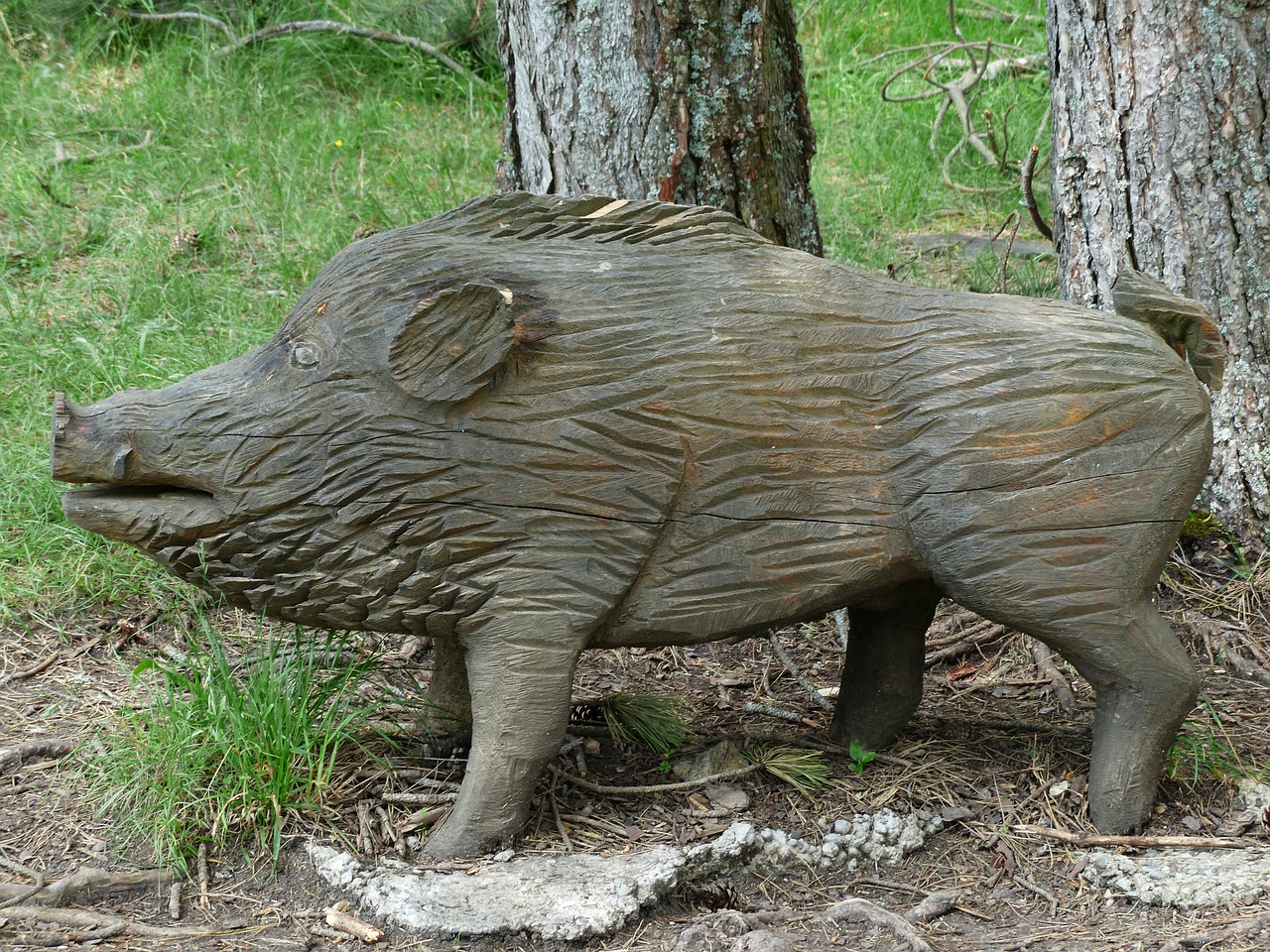 wood carving boar free photo