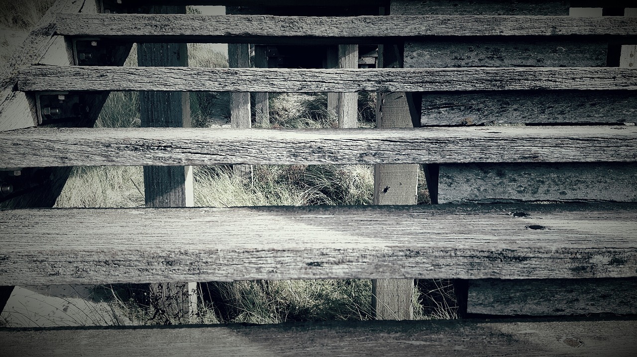 wooden stairs summer free photo