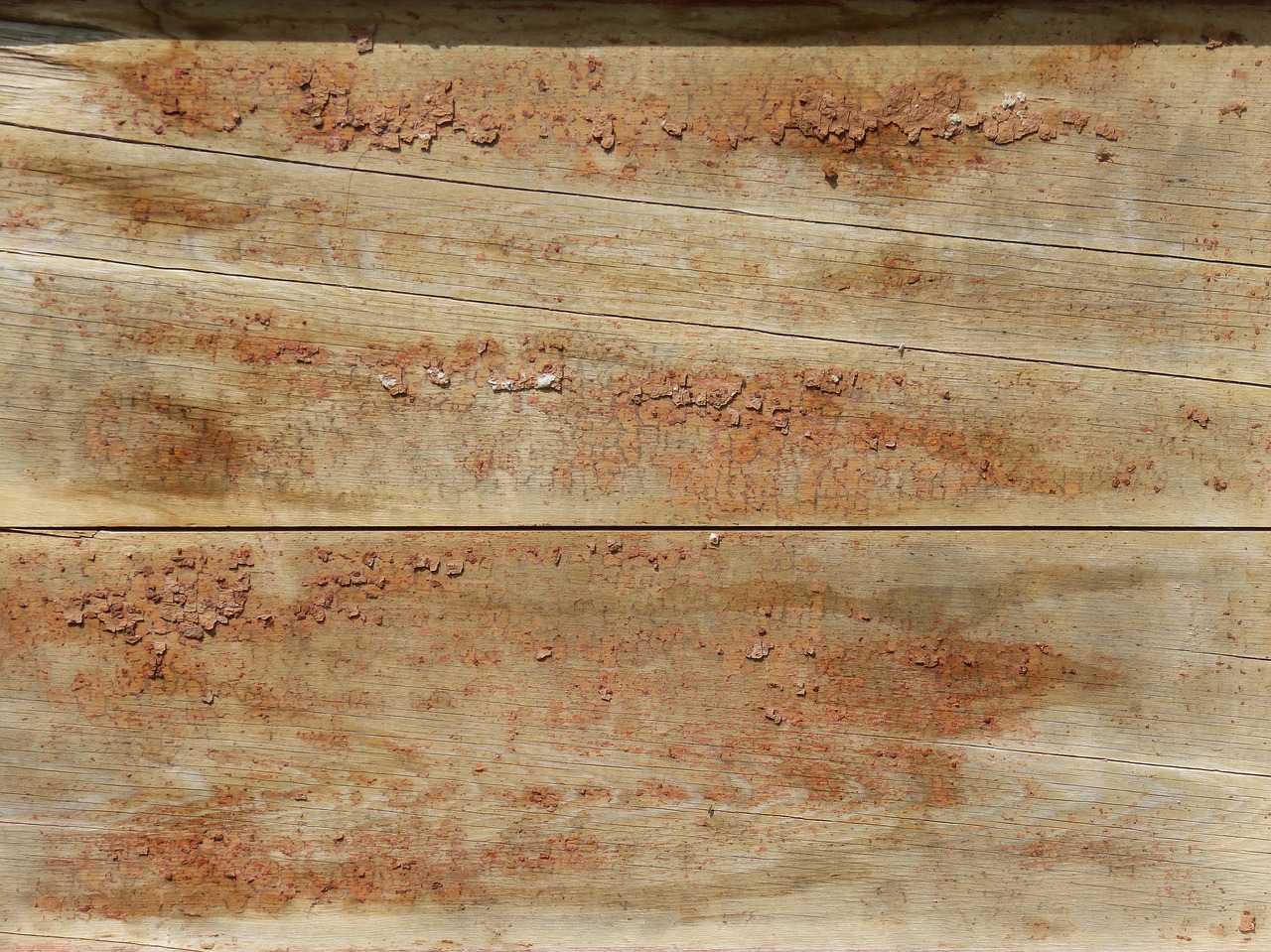 wood background texture free photo