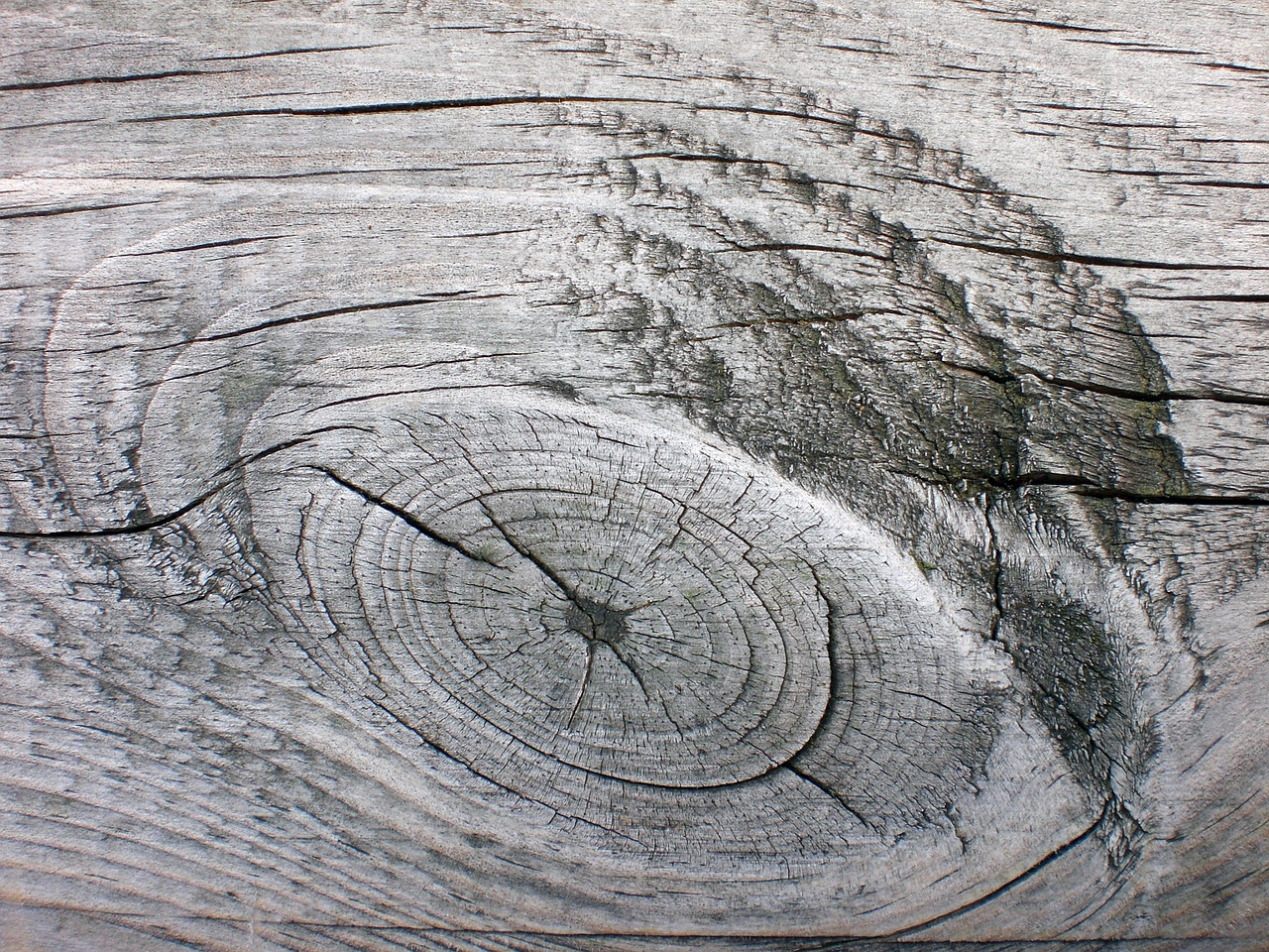 wood grain board free photo