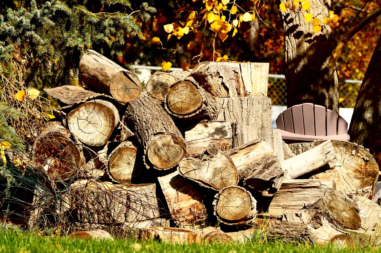 wood pile woodpile free photo