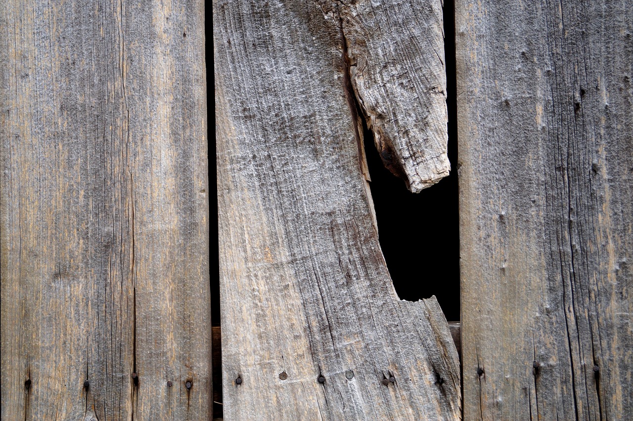 wood wooden wall wooden boards free photo