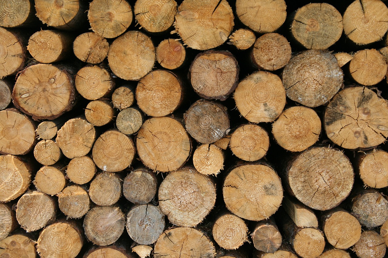 wood background log free photo