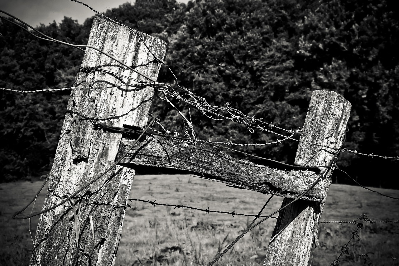 wood fence post pile free photo
