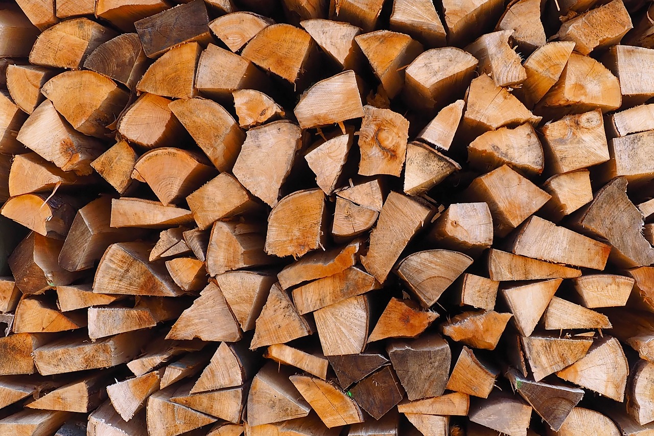 wood logs wood pile free photo
