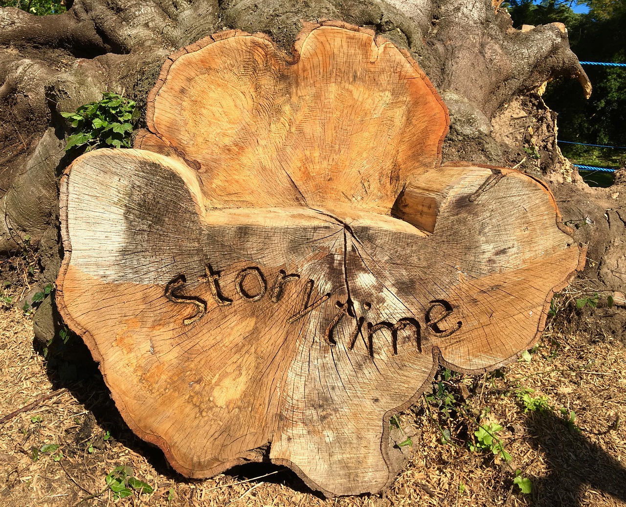 wood story story time