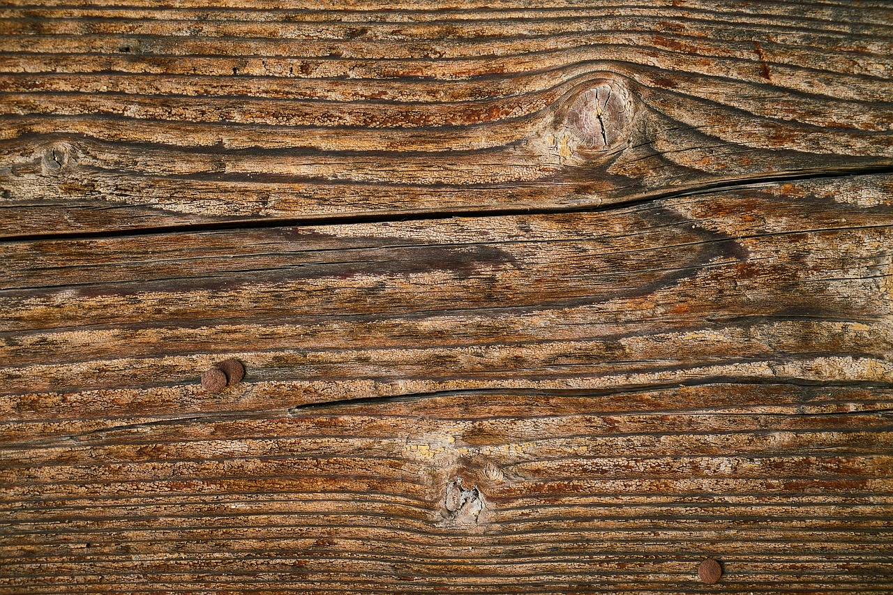 wood texture background free photo