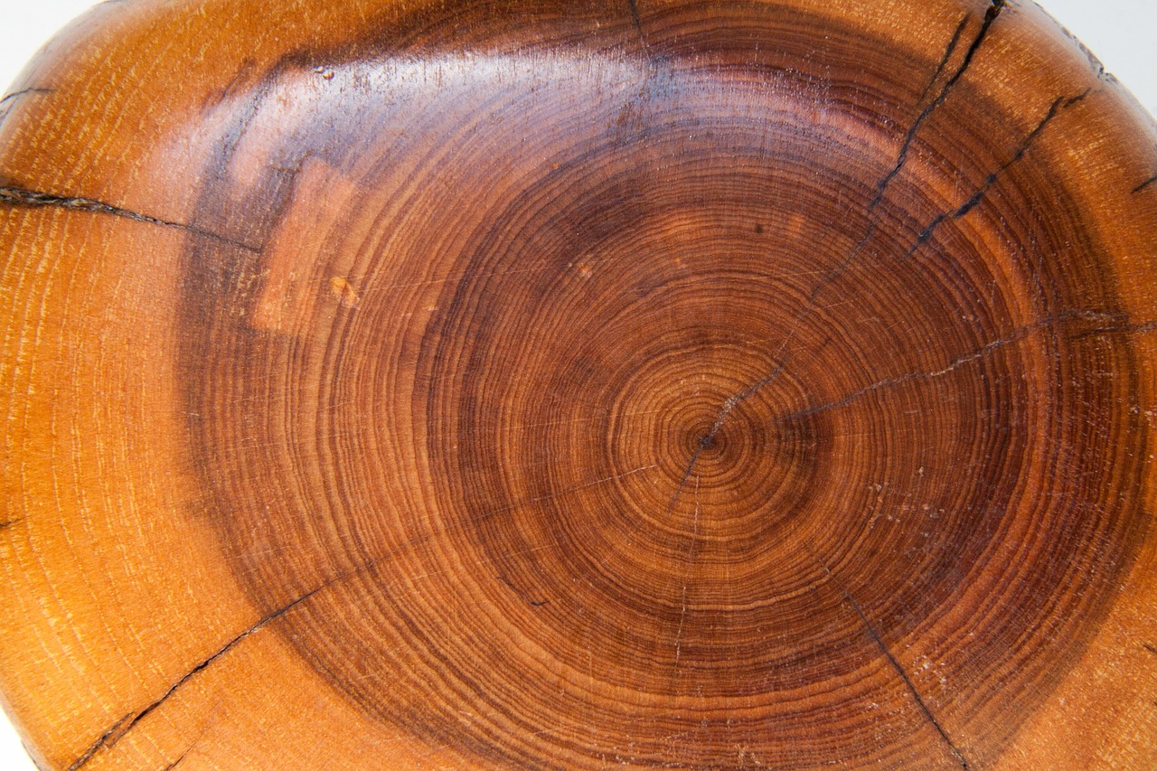 wood annual rings structure free photo