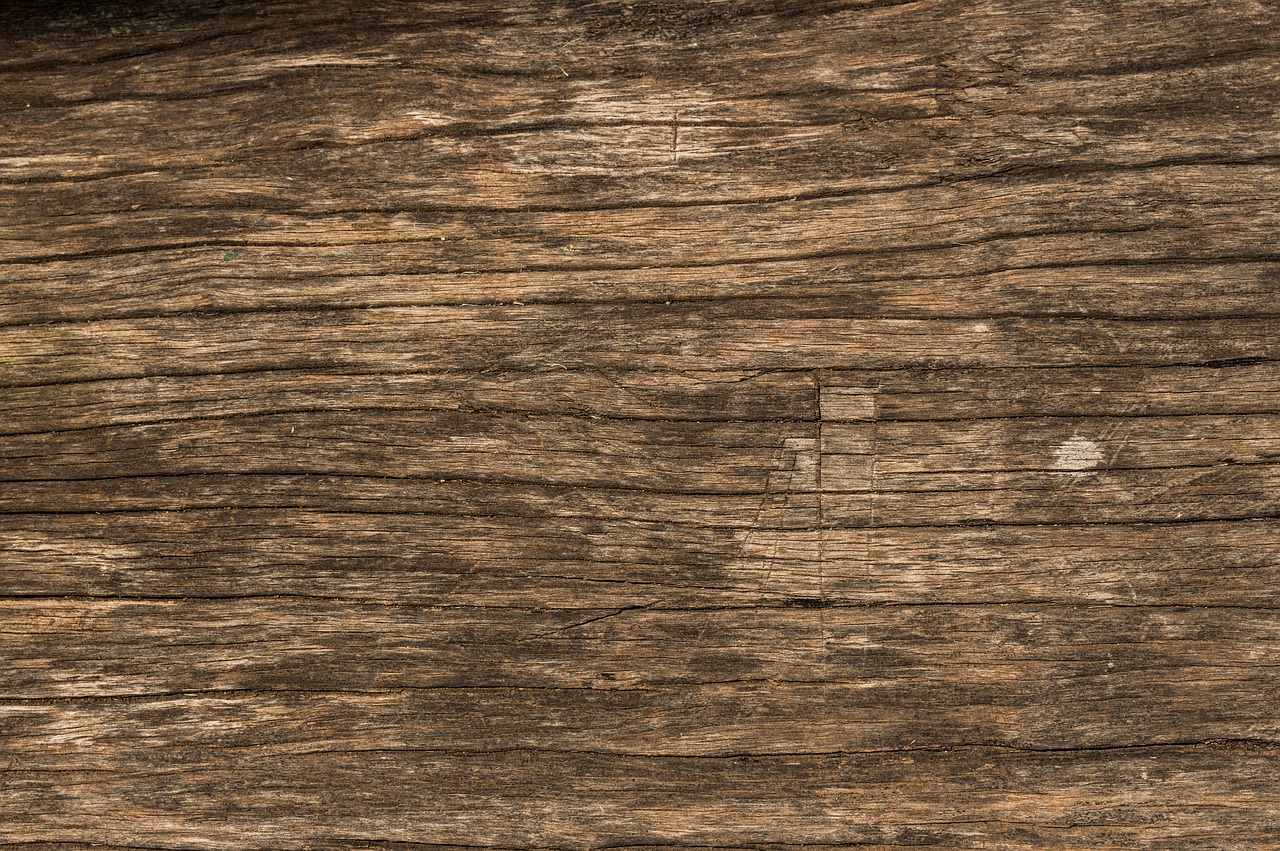 wood texture surface free photo
