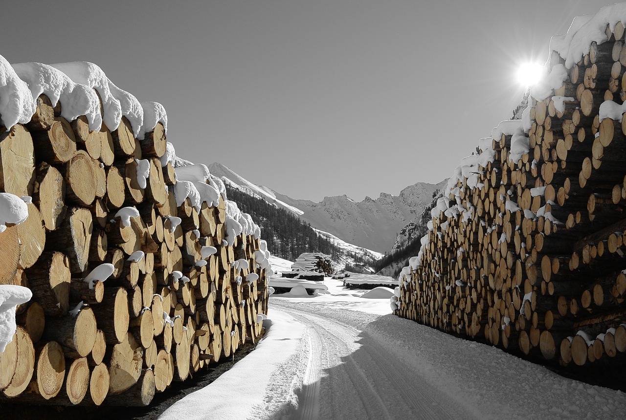 wood snow samnaun free photo