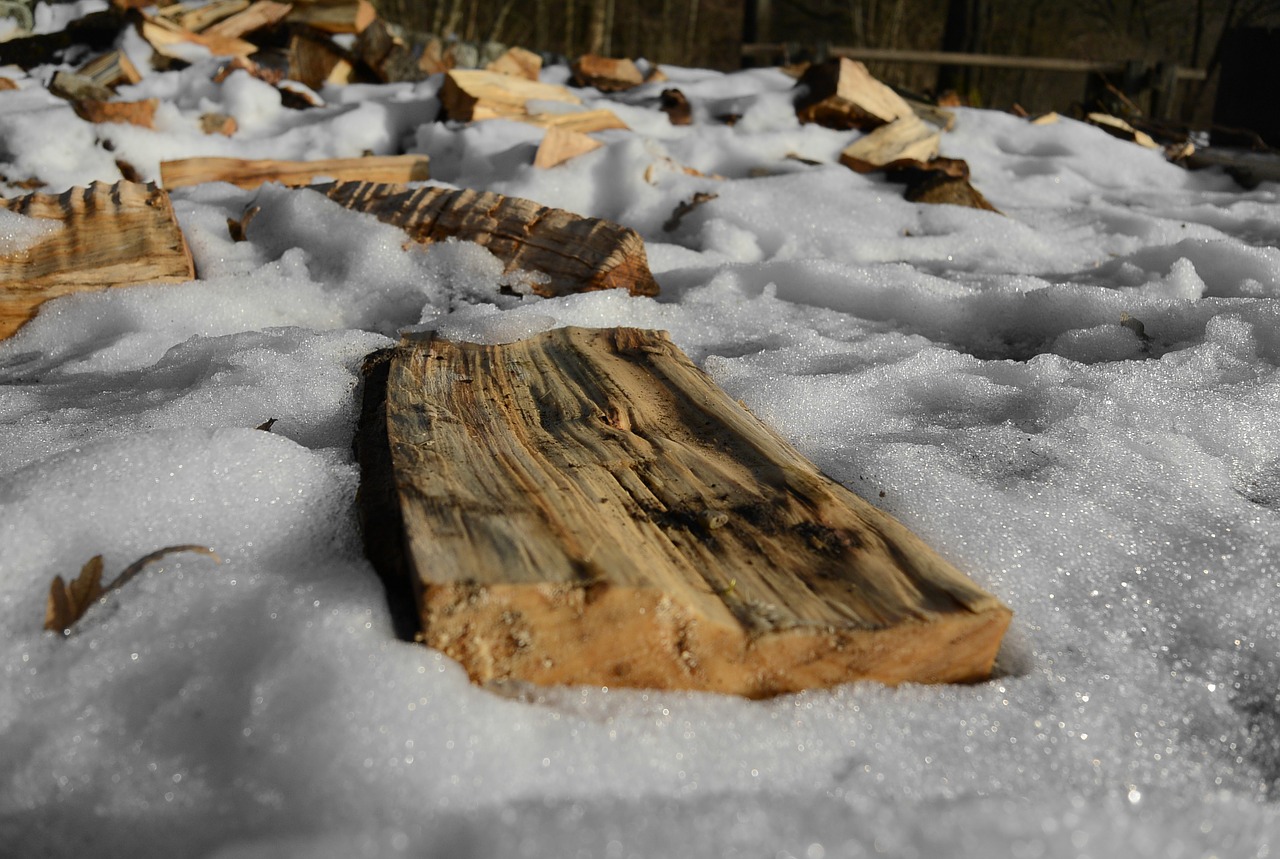 wood log snow free photo