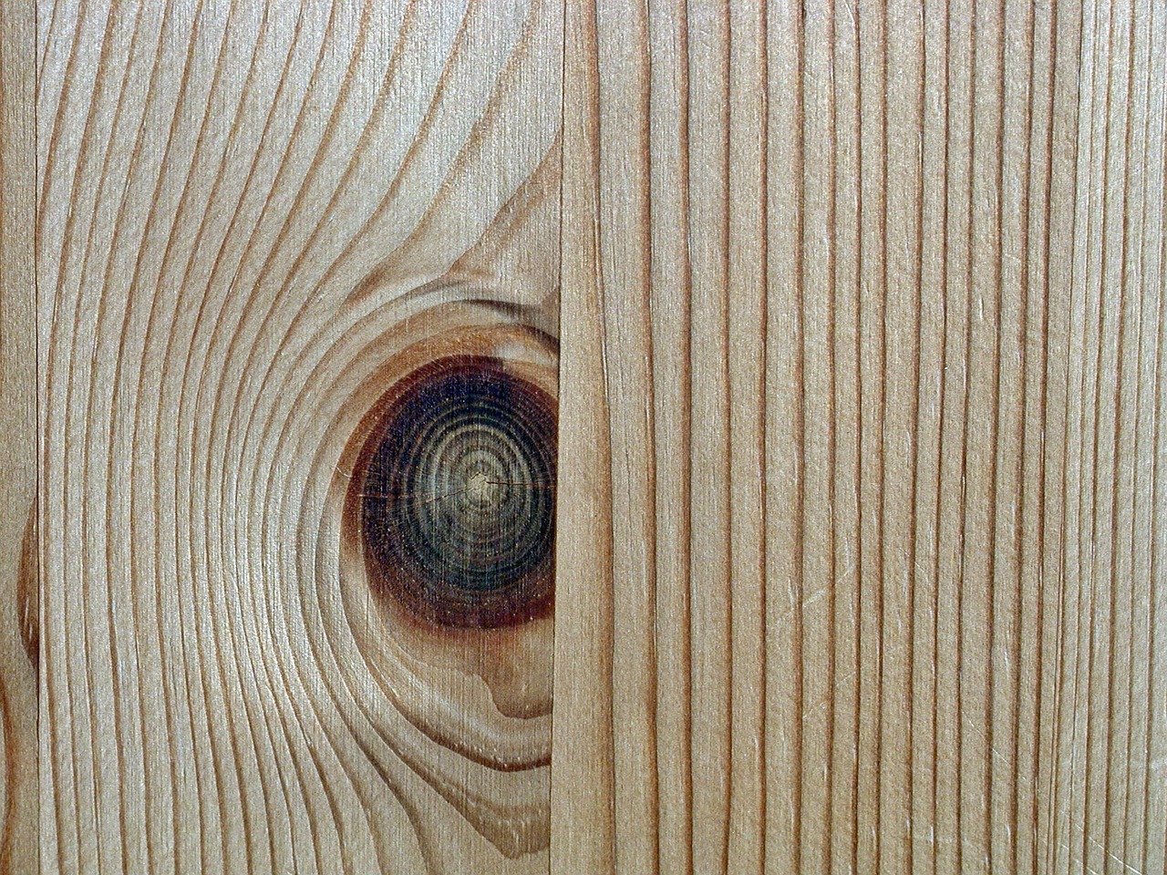 wood pine background free photo