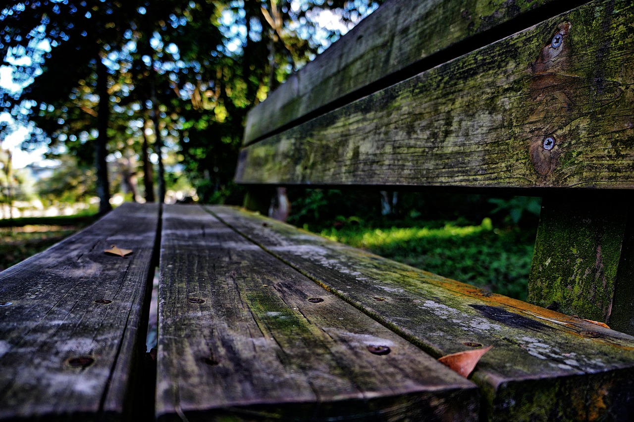 wood sit bench seating free photo