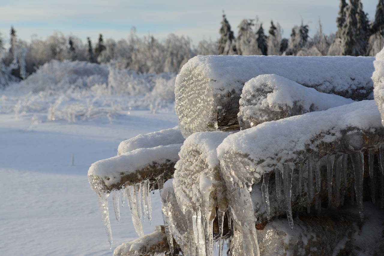 wood winter winter landscape free photo