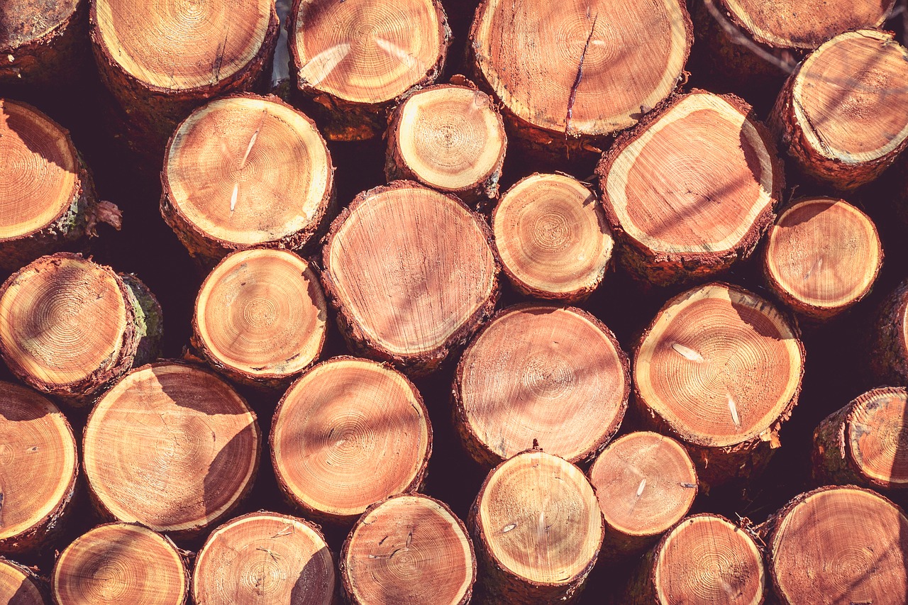 wood strain tree free photo