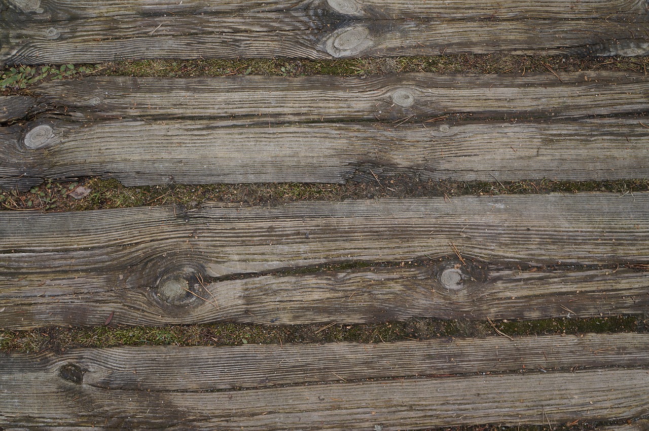 wood brown background free photo