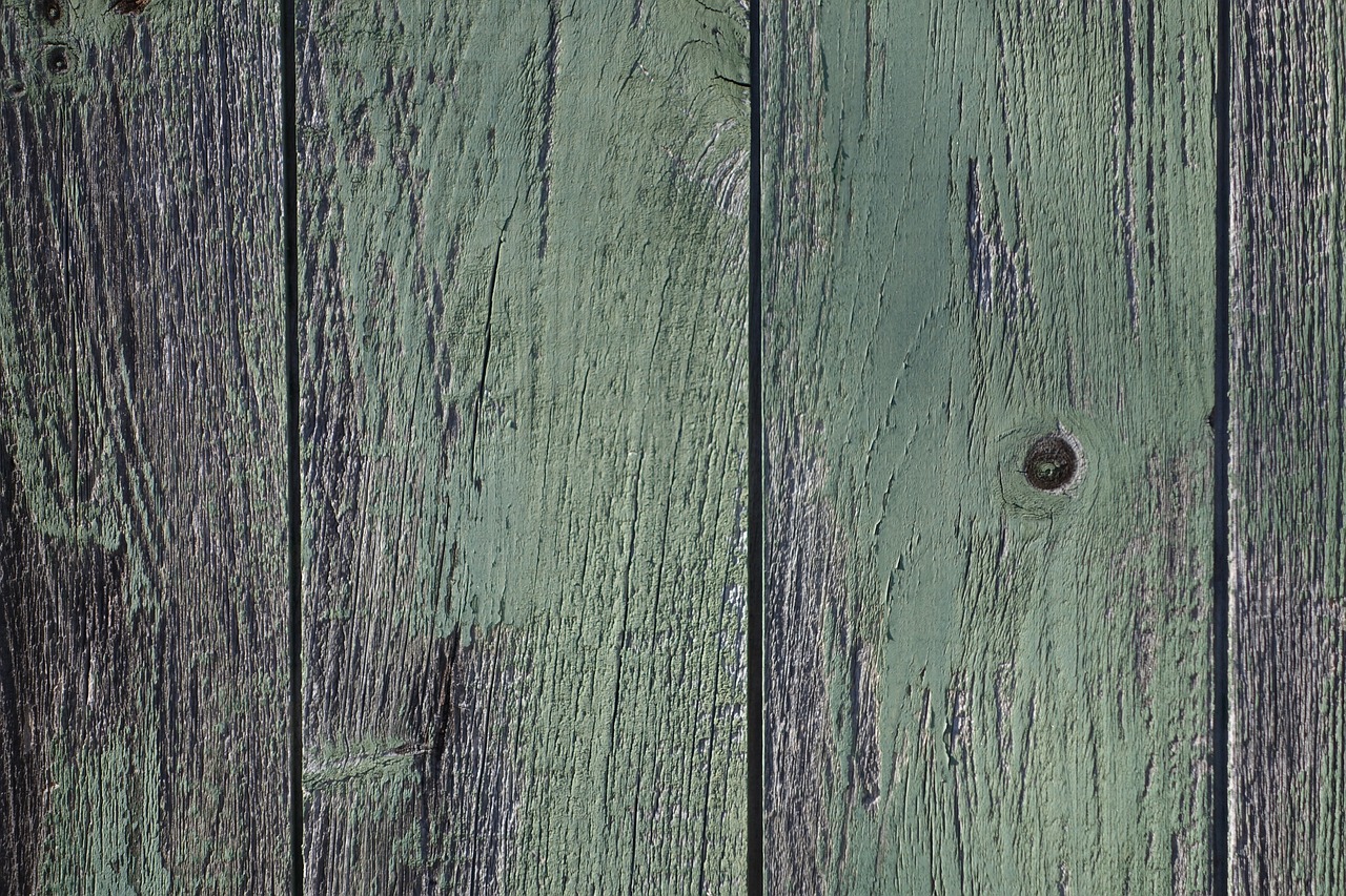 wood door texture free photo