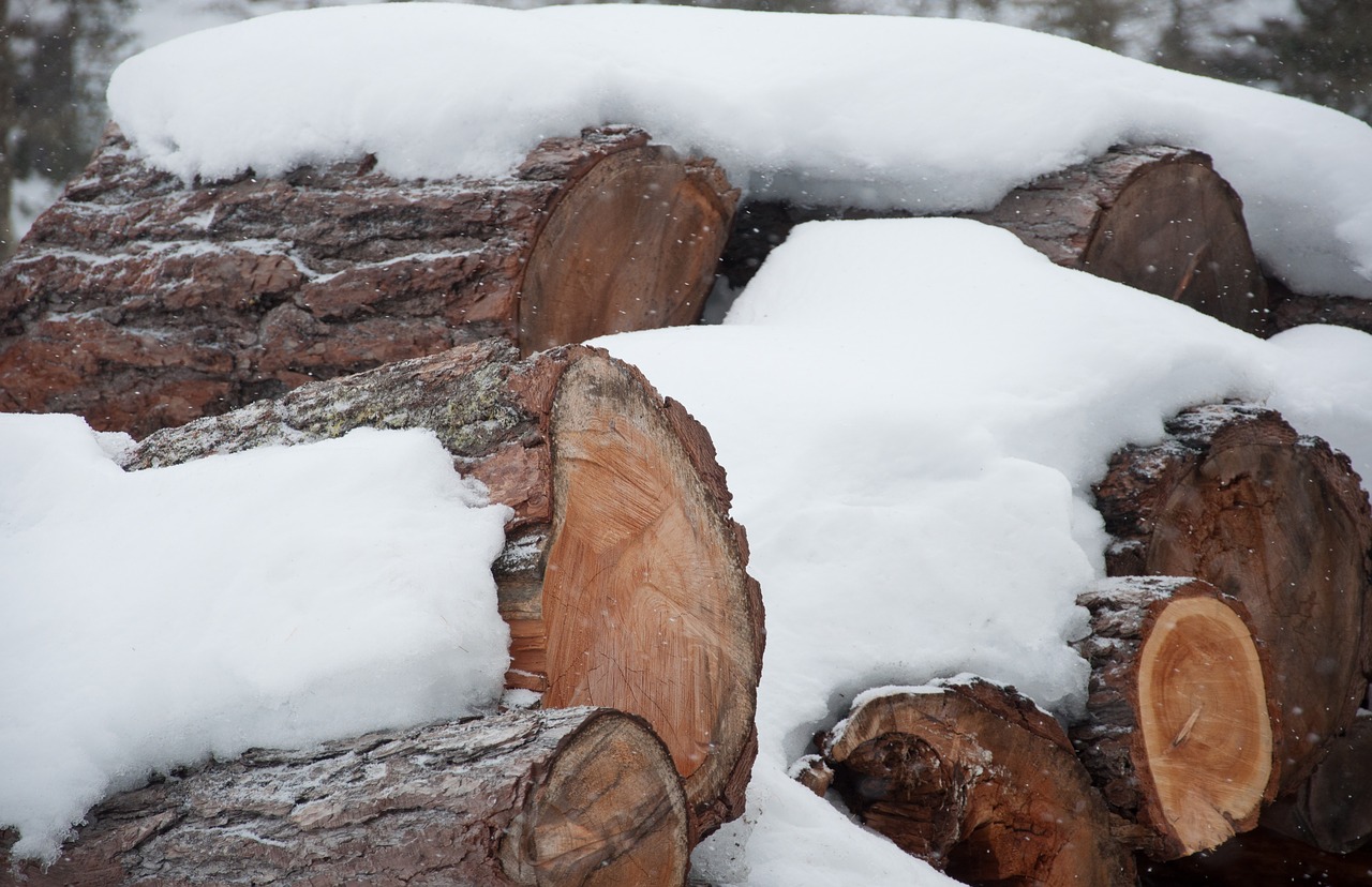 wood snow engadine free photo