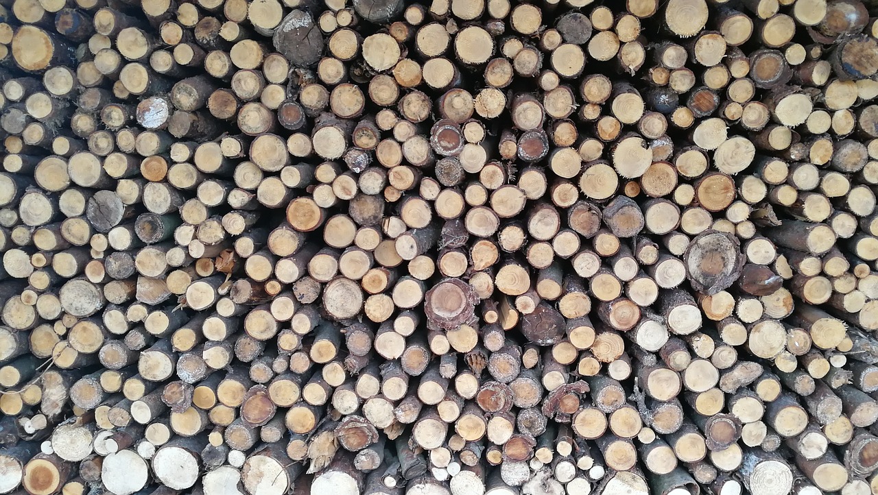 wood holzstapel background free photo