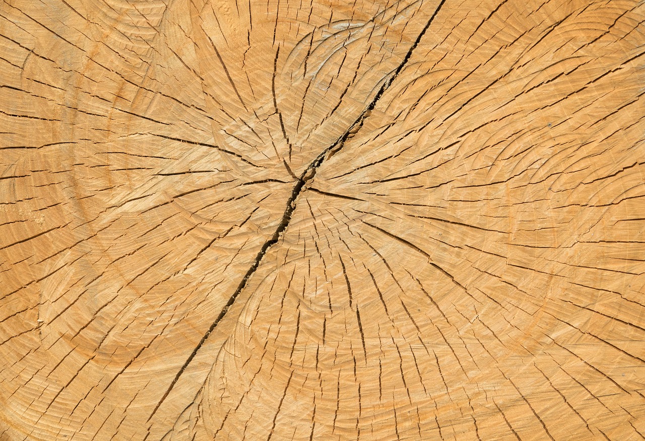 wood cracks structure free photo