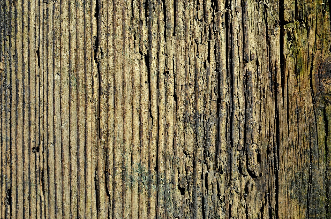 wood board texture free photo