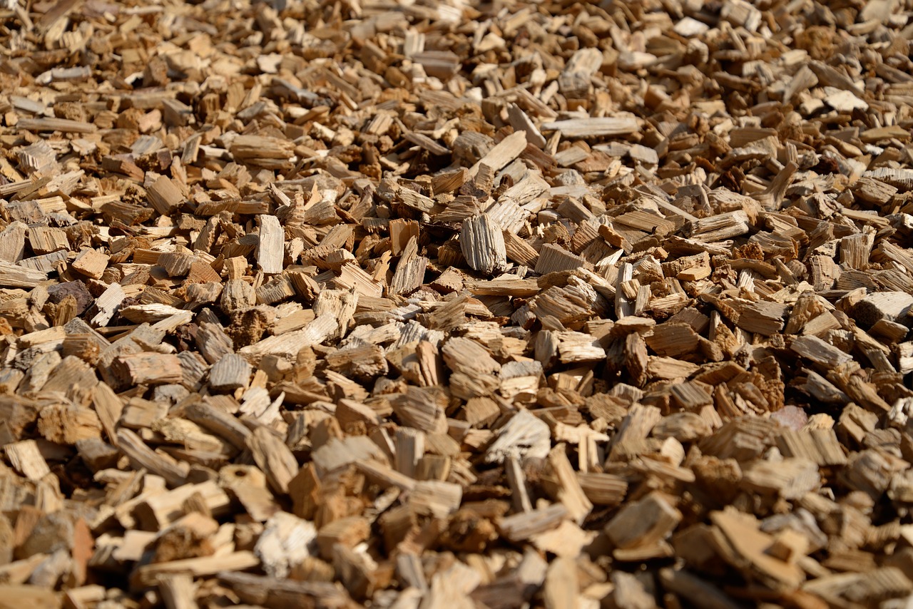 wood cut wood chips free photo