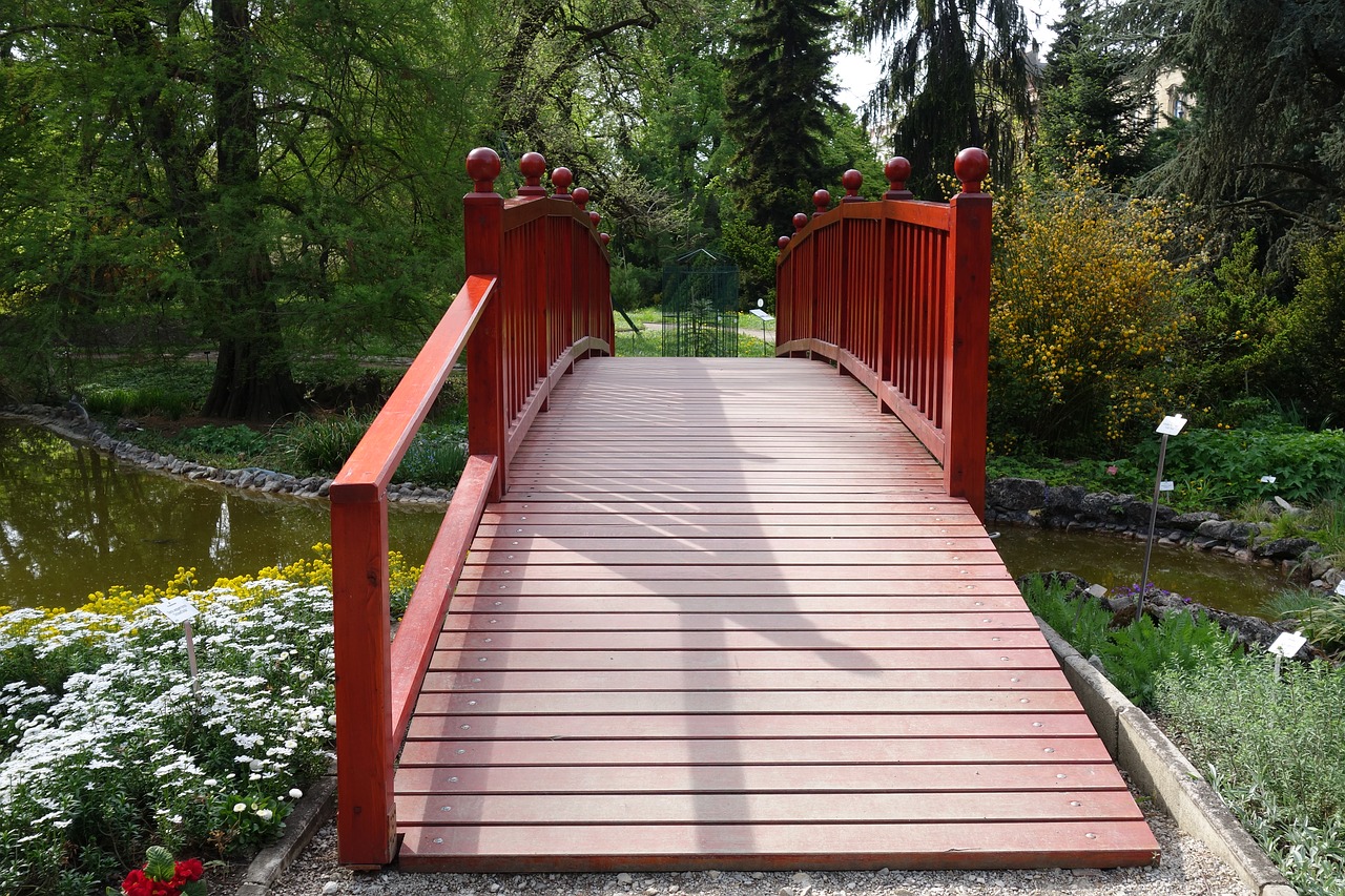 wood bridge nature free photo