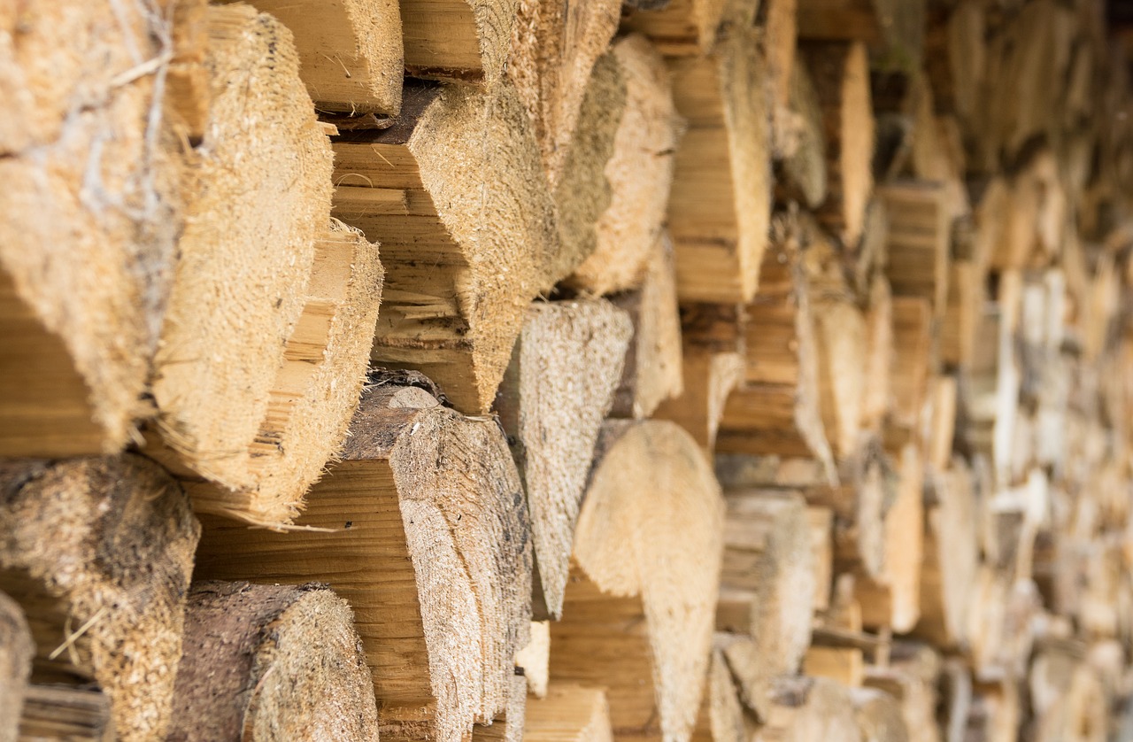 wood woods stack free photo