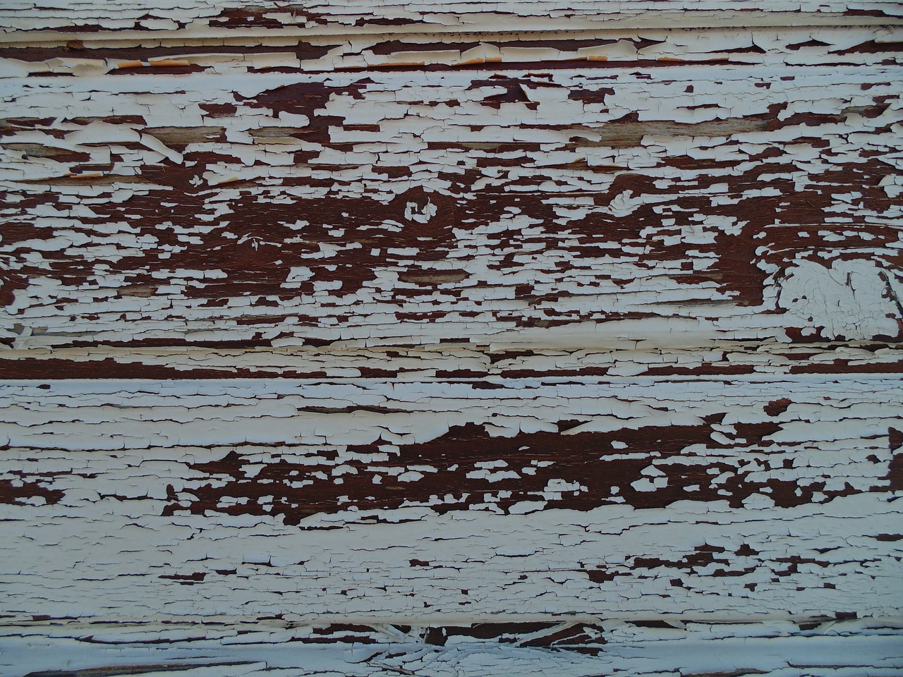 wood pattern brown free photo