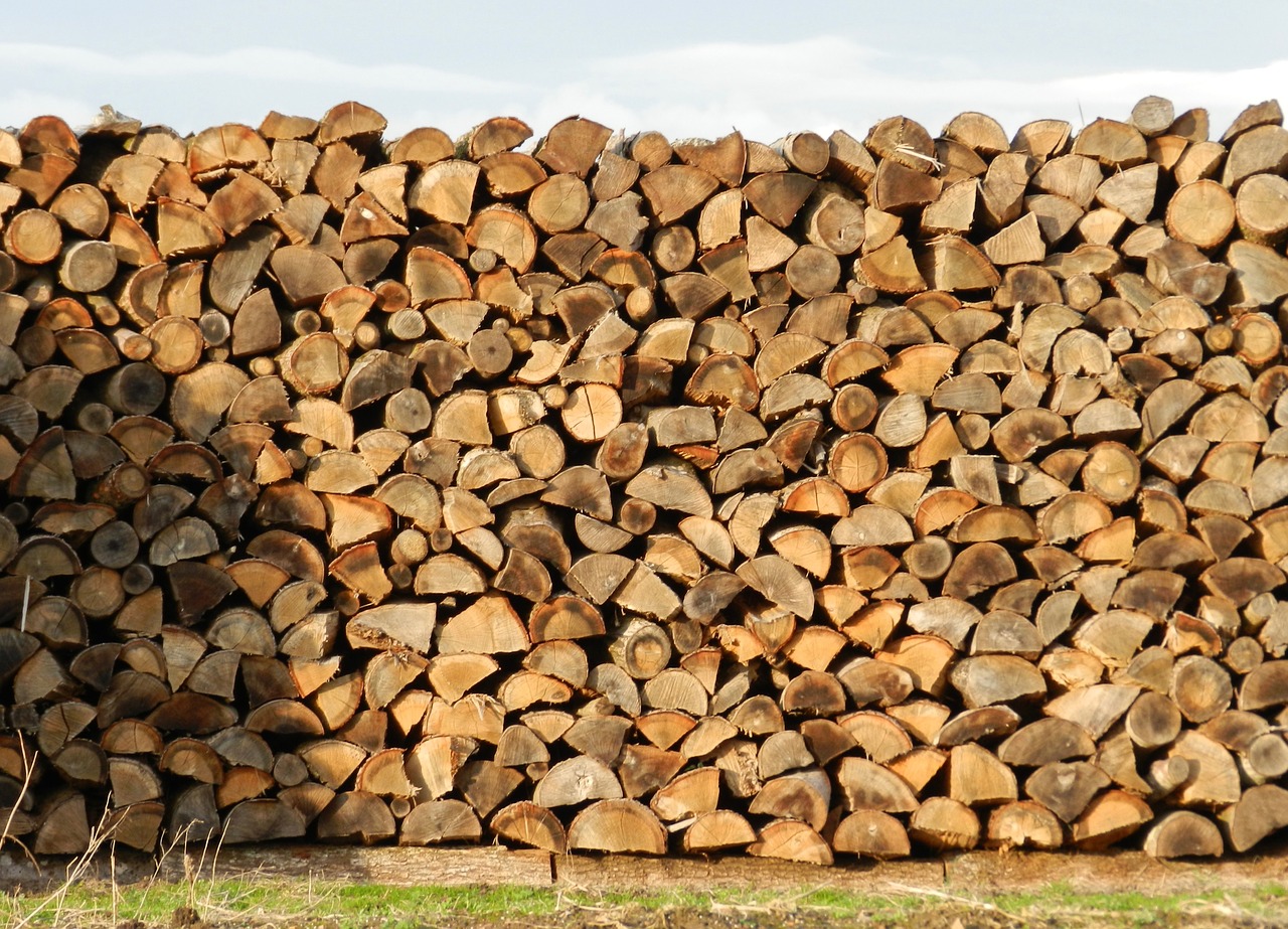 wood heap stacked free photo