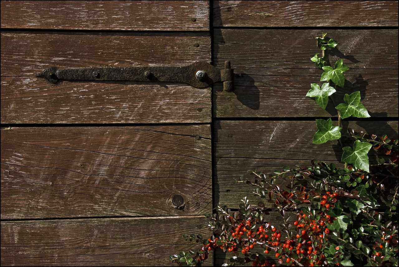 wood hinge ivy free photo