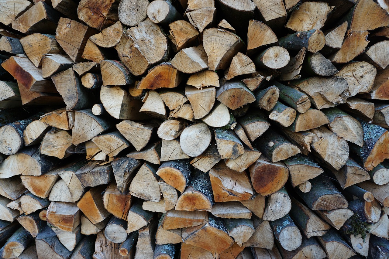 wood beech firewood holzstapel free photo