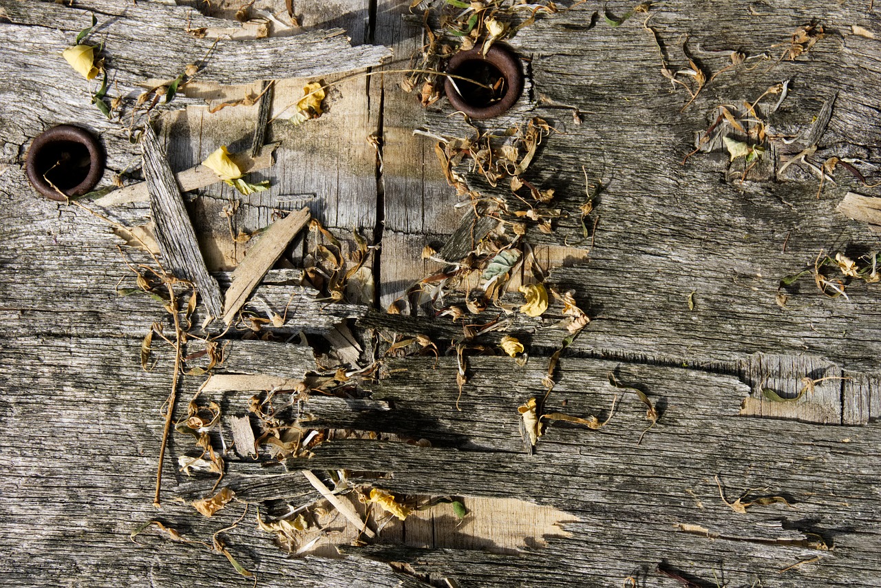 Wood rust фото 25