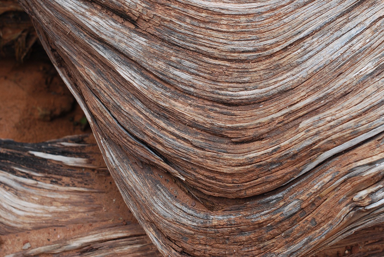 wood wood texture texture free photo
