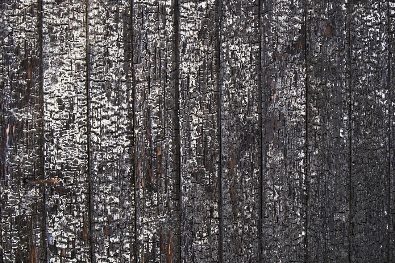 wood burnt texture free photo
