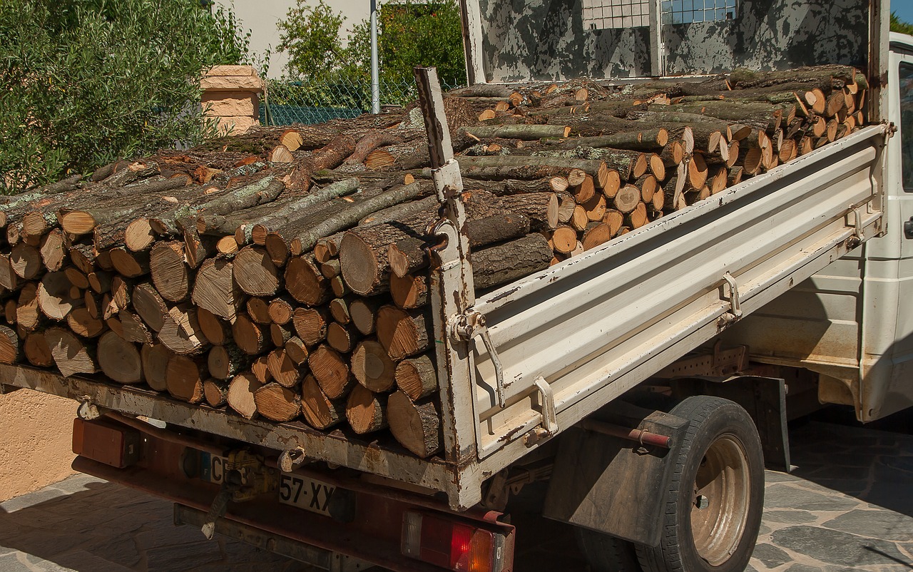 wood logs truck free photo