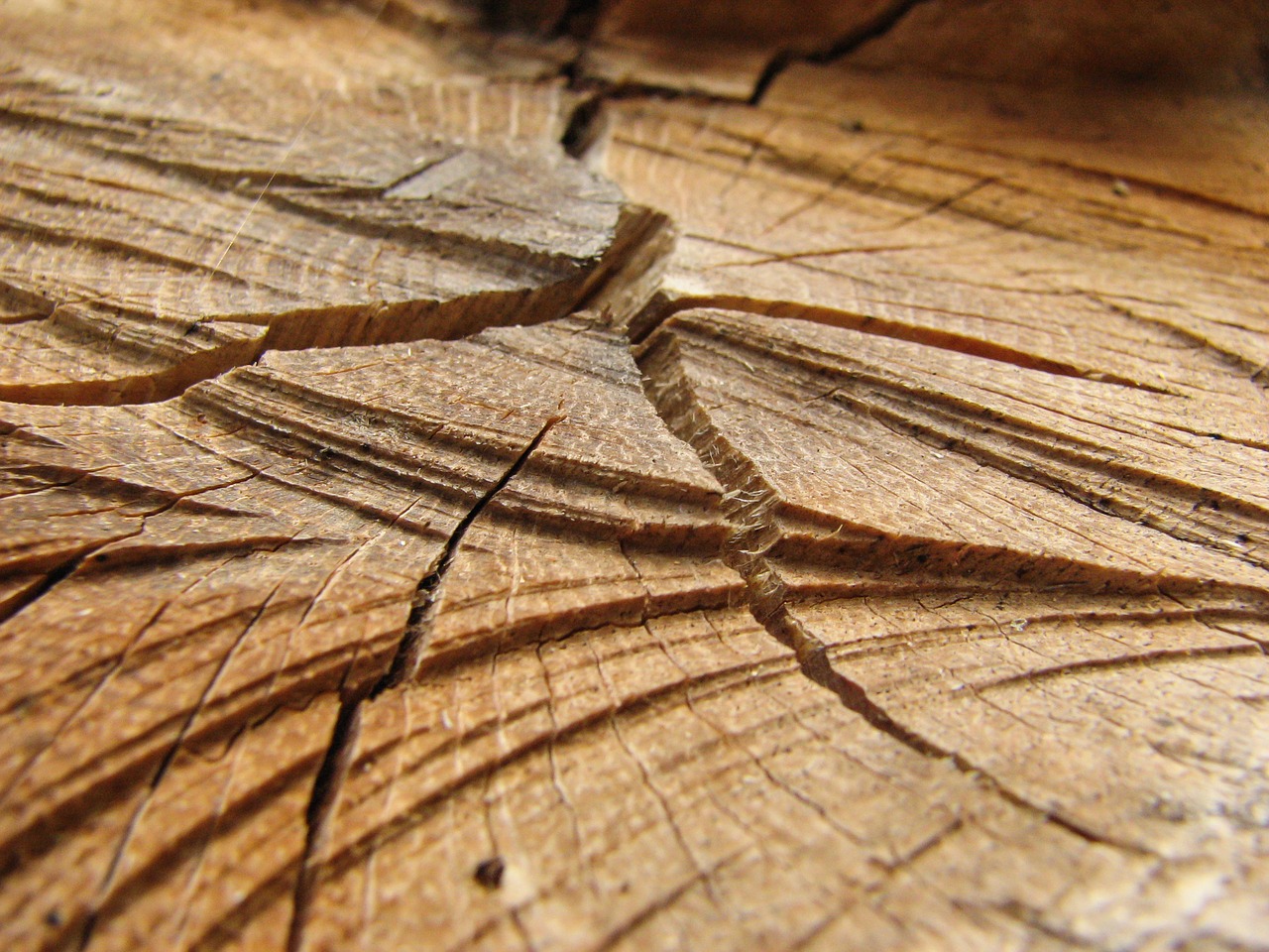 wood detail structure free photo