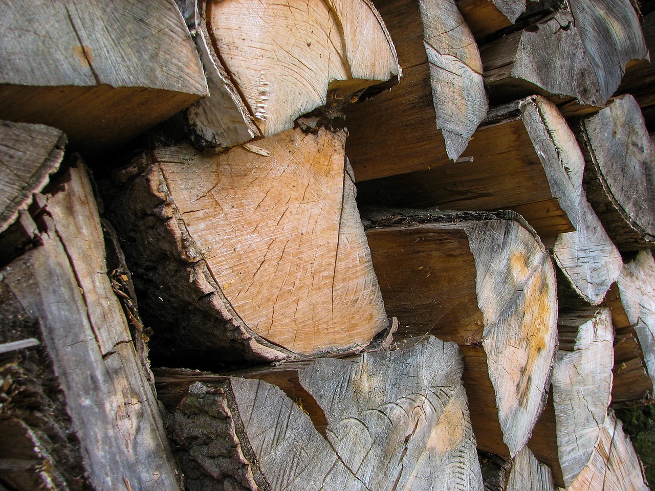 wood logs heating free photo
