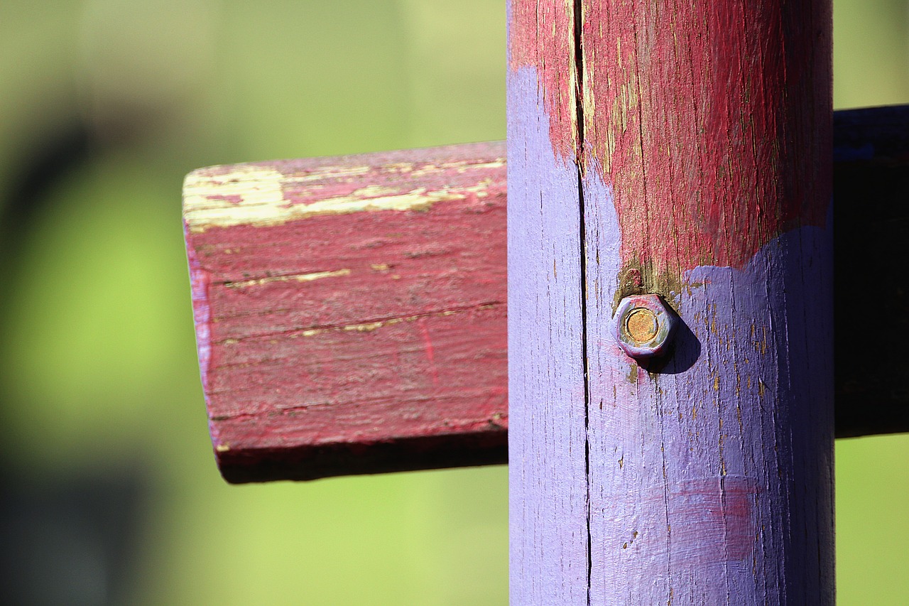 wood pile screw free photo