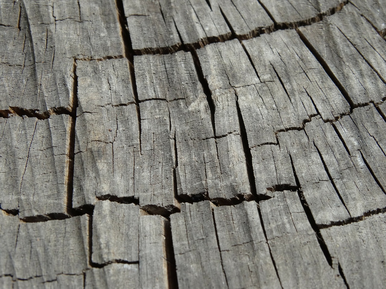 wood texture nature free photo