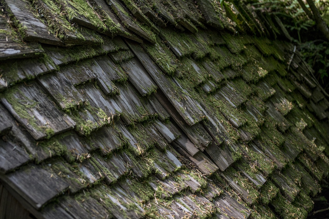 wood shingle layer free photo