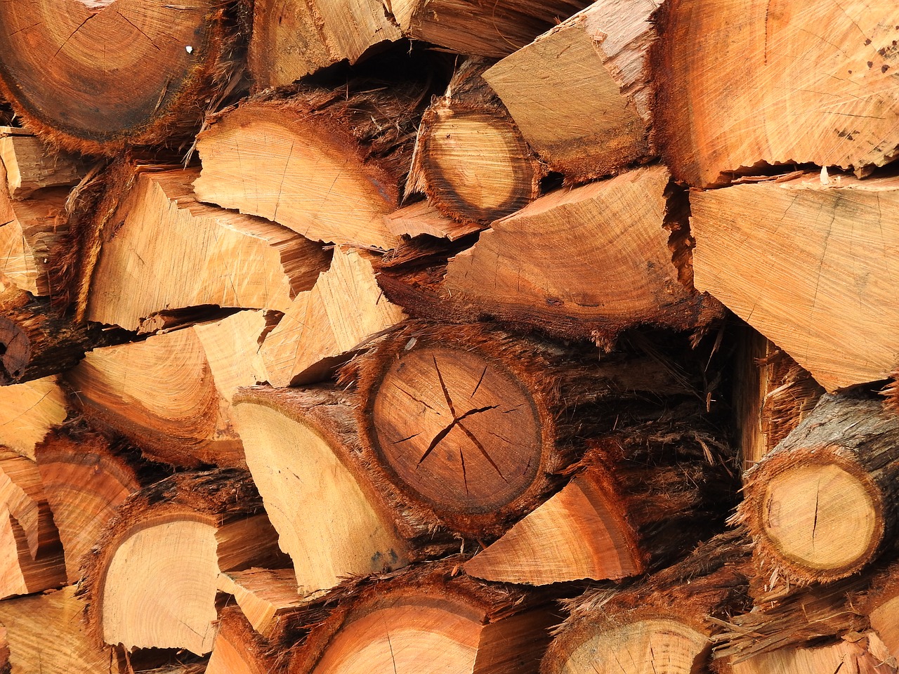 wood firewood wood stack free photo