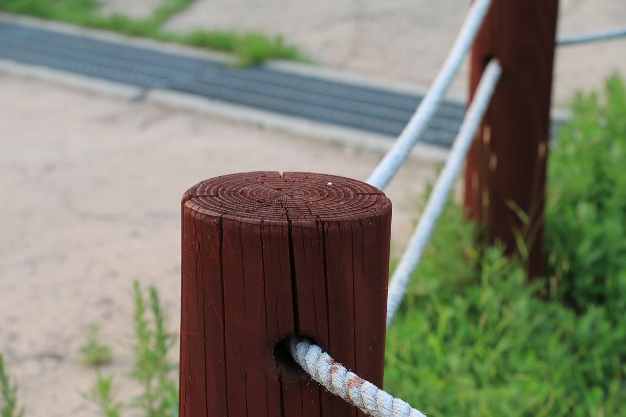 wood timber line free photo