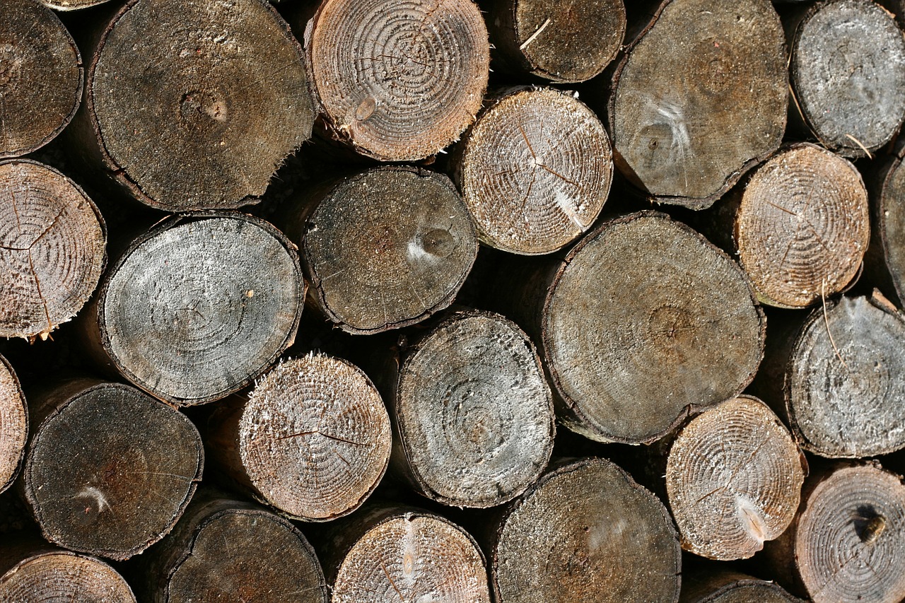 wood stacked tree rings free photo