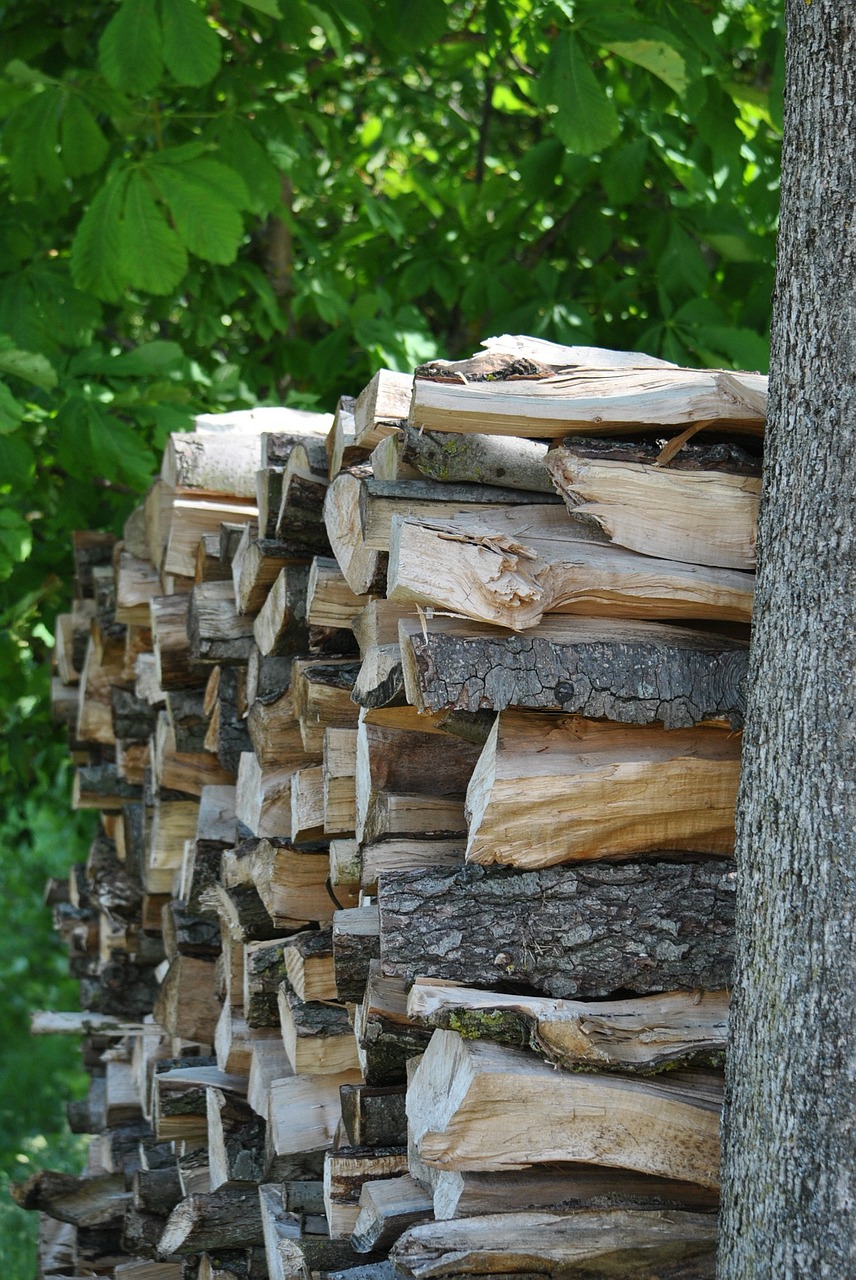 wood firewood combs thread cutting free photo