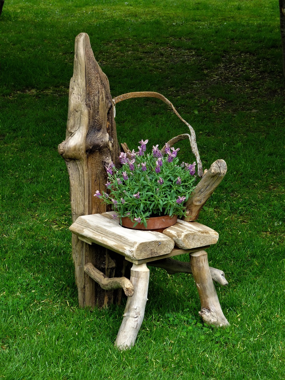 wood driftwood wooden chair free photo