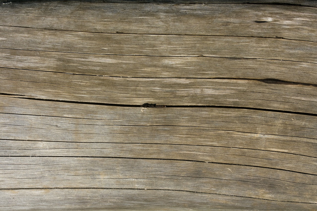 wood texture structure free photo
