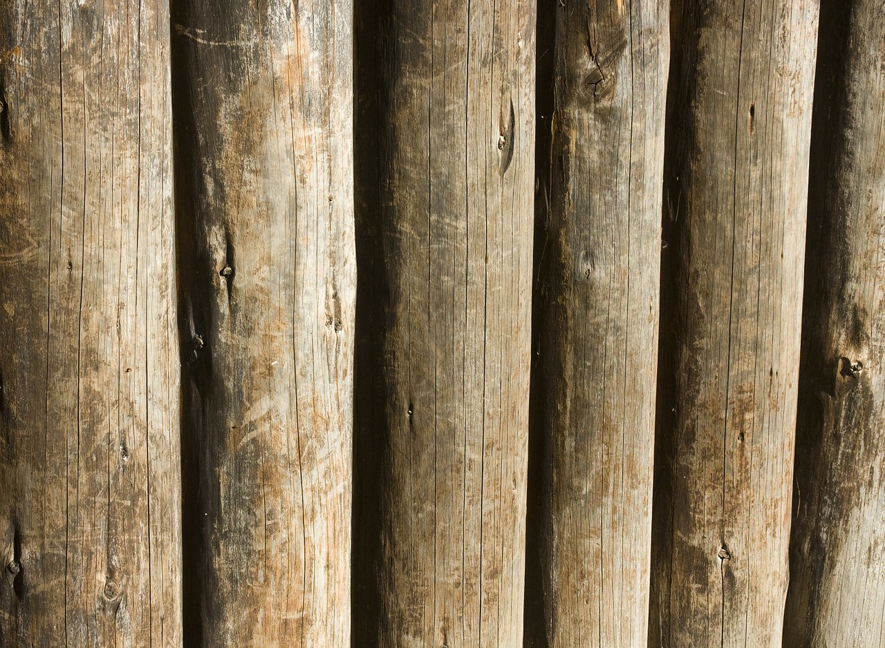 wood texture structure free photo